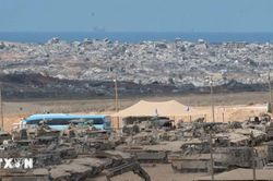 Israel và Hội đồng Hòa bình thảo luận giải giáp vũ khí tại Gaza