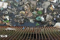 Thành phố Hồ Chí Minh tăng tốc hiện đại hóa công nghệ xử lý rác