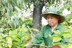 'Tổ trưởng' ở vùng biên vừa giỏi giữ rừng, vừa khéo vận động bà con