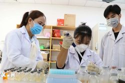 Đến năm 2030, Việt Nam làm chủ tối thiểu 10 công nghệ lõi