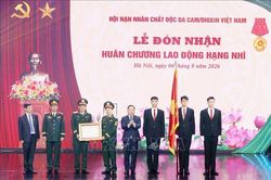 Hội Nạn nh&acirc;n chất độc da cam/dioxin Việt Nam đ&oacute;n nhận Hu&acirc;n chương Lao động hạng Nh&igrave;