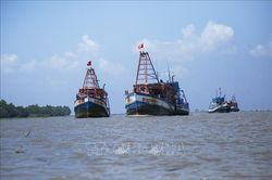 Khắc phục 'thẻ vàng' IUU: Không có vùng cấm cho vi phạm