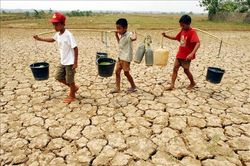 Indonesia x&acirc;y dựng kịch bản ứng ph&oacute; El Nino