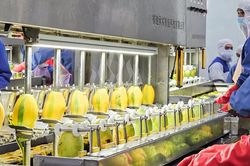Nafoods Group lãi hơn 140 tỷ đồng sau 6 tháng, hàng tồn kho tăng hơn gấp đôi
