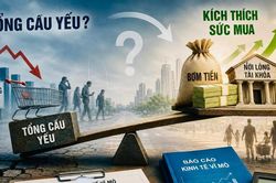 Sức cầu trong nền kinh tế không hề suy yếu