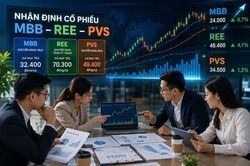 Cổ phiếu tâm điểm 4/8: Khuyến nghị mua MBB, REE và PVS