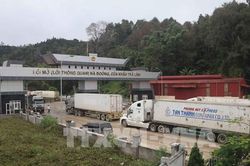Cao Bằng tập trung gỡ khó cho doanh nghiệp xuất nhập khẩu