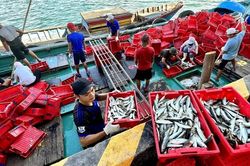 Doanh nghiệp thủy sản cảnh báo 'điểm nghẽn' trong dự thảo Luật An toàn thực phẩm