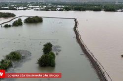 Vụ xử phạt 500 triệu đồng tại đầm Đông Hồ: TAND khu vực 8 - An Giang thụ lý vụ án hành chính