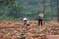 UKVFTA thúc đẩy hệ sinh thái phát triển bền vững từ ngành gỗ