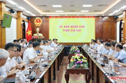 Tỉnh Gia Lai và EVN thống nhất giải pháp phát triển lưới điện theo Quy hoạch điện VIII điều chỉnh