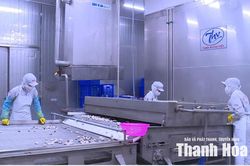 Dòng vốn tập trung các lĩnh vực ưu tiên, hỗ trợ tăng trưởng kinh tế