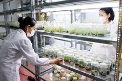Bắc Ninh: Khơi thông nguồn lực cho đổi mới sáng tạo