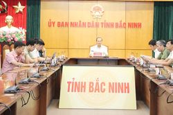Phó Chủ tịch Thường trực UBND tỉnh Mai Sơn dự hội nghị ngoại giao về phát triển đất nước