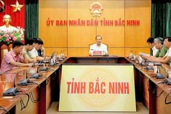 Phó Chủ tịch Thường trực UBND tỉnh Mai Sơn dự hội nghị ngoại giao về phát triển đất nước