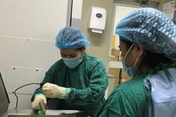 Khởi đầu bền vững từ dòng sữa mẹ