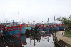 Tăng cường hỗ trợ ngư dân thực hiện thủ tục hành chính về tàu cá, khai thác thủy sản