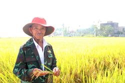 Tăng giá trị nông sản từ vùng trồng phát thải thấp