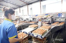 Cơ giới hóa nông nghiệp để ứng phó biến đổi khí hậu