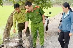 Thực hiện nhiều giải pháp bảo vệ động vật hoang dã, nguồn lợi thủy sản