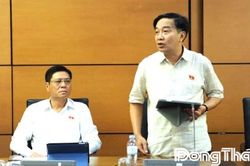 Đoàn Đại biểu Quốc hội tỉnh Đồng Tháp: Thảo luận các dự án luật, nghị quyết trình kỳ họp