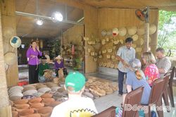 Sức sống mới trên vùng đất phù sa