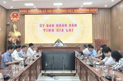 Đơn giản hóa thủ tục hành chính về mã số vùng trồng, mã số cơ sở đóng gói