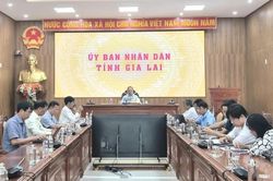 Đơn giản h&oacute;a thủ tục h&agrave;nh ch&iacute;nh về m&atilde; số v&ugrave;ng trồng, m&atilde; số cơ sở đ&oacute;ng g&oacute;i