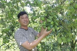 Xã Khánh Vĩnh: Nâng tầm giá trị nông sản