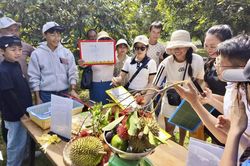 Xã Lâm Sơn: Đánh thức tiềm năng, tạo đà phát triển