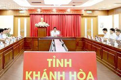 Phiên toàn thể về ngoại giao phục vụ phát triển đất nước trong giai đoạn mới