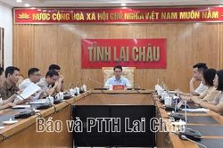 Phi&ecirc;n to&agrave;n thể về ngoại giao phục vụ ph&aacute;t triển đất nước trong giai đoạn mới