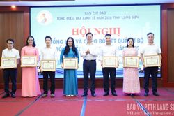 Tổng kết và công bố kết quả sơ bộ Tổng điều tra kinh tế năm 2026
