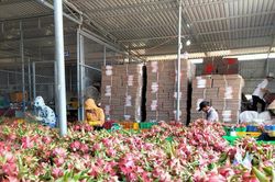 Khoa học, công nghệ tiếp sức hợp tác xã phát triển