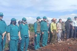 Bảo vệ đất lâm nghiệp ở Quảng Sơn: Còn nhiều việc phải làm