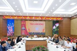 Lâm Đồng dự hội nghị triển khai Nghị quyết về mã số vùng trồng, cơ sở đóng gói