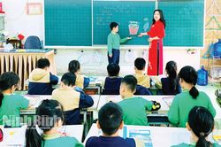 Nghị định số 182/2026/NĐ-CP: Động lực để đội ngũ nhà giáo, nhân viên trường học yên tâm cống hiến