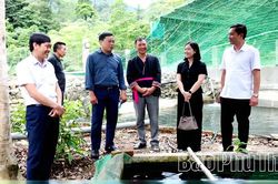 Tiếp tục quan tâm, chăm lo vùng đồng bào dân tộc thiểu số