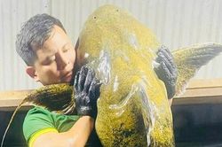 Tròn vị đặc sản cá chiên Đất Tổ