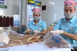 Hỗ trợ nâng hạng từ 15-20 sản phẩm OCOP mỗi năm