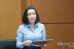 Đoàn đại biểu Quốc hội tỉnh kiến nghị bảo đảm tính thống nhất, khả thi của các dự án luật
