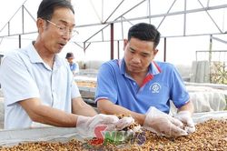 Chiềng Cơi ph&aacute;t huy vai tr&ograve; của c&aacute;c hợp t&aacute;c x&atilde;