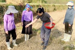 Nấm Dẩn bảo vệ sản xuất trước thiên tai