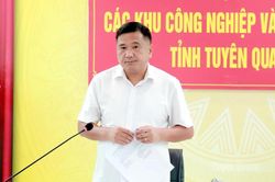 Giám sát việc quản lý, sử dụng đất đối với các tổ chức kinh tế, doanh nghiệp trong các khu công nghiệp, khu kinh tế tỉnh