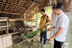 Trao sinh kế, tiếp sức hộ nghèo ở Đức Lương
