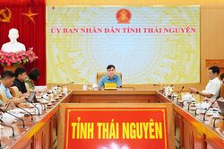 Triển khai quy định mới về cấp m&atilde; số v&ugrave;ng trồng