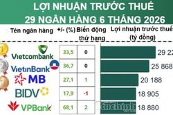 Ng&acirc;n h&agrave;ng b&aacute;o l&atilde;i gần 225.000 tỷ đồng, bảng xếp hạng lợi nhuận xuất hiện m&agrave;n 'đổi ng&ocirc;i' ngoạn mục
