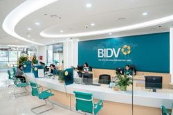Để kh&aacute;ch h&agrave;ng tự &yacute; b&aacute;n t&agrave;i sản đảm bảo, BIDV bị Kiểm to&aacute;n Nh&agrave; nước 'tu&yacute;t c&ograve;i'