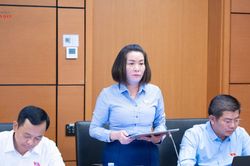 Dự thảo Luật Ph&ograve;ng, chống phổ biến vũ kh&iacute; hủy diệt h&agrave;ng loạt: Đề nghị quy định r&otilde; đối tượng phải x&acirc;y dựng chương tr&igrave;nh tu&acirc;n thủ nội bộ