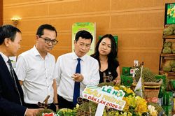 Đắk Lắk tạo đòn bẩy cho sầu riêng vươn xa